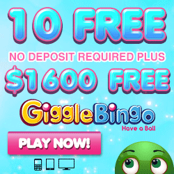 Bingo No deposit bonus codes